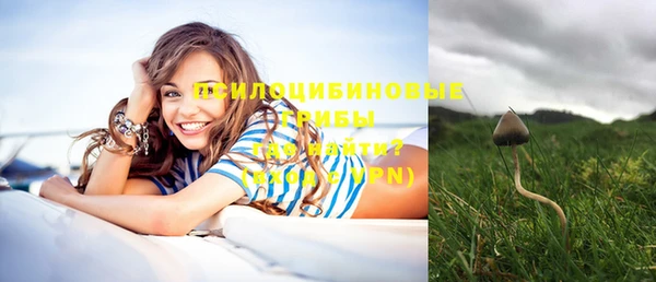 меф Дмитровск