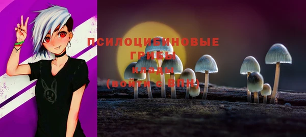 apvp Дмитров