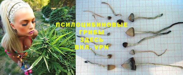 меф Дмитровск