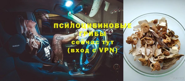 круглые Дмитриев