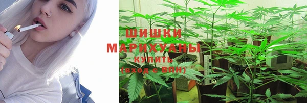 apvp Дмитров