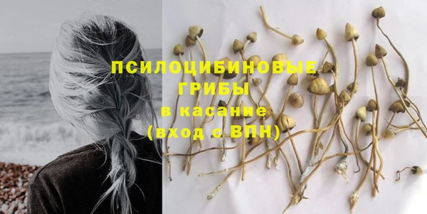круглые Дмитриев