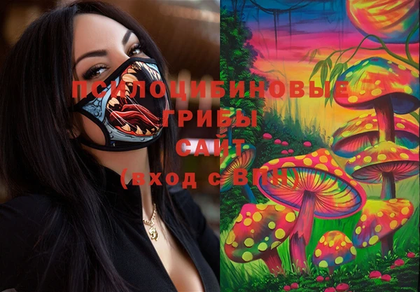 apvp Дмитров