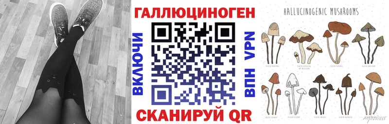Галлюциногенные грибы Psilocybine cubensis  где можно купить наркотик  Кукмор 